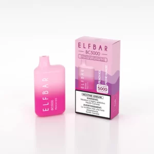 ELF BAR PEACH ICE (5000 PUFF) DISPOSABLE VAPE
