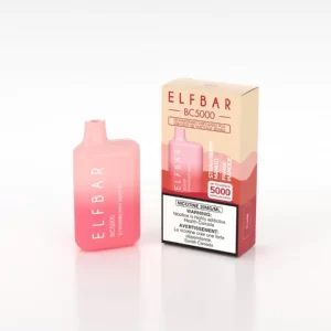 ELF BAR STRAWBERRY MANGO (5000 PUFF) DISPOSABLE VAPE