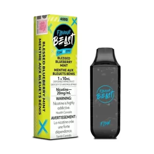 Flavour Beast Flow Disposable - Blessed Blueberry Mint Iced